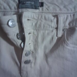Torrid Beige Button-Fly Pants